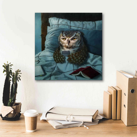 Image of 'Night Owl' by Lucia Heffernan, Canvas Wall Art,18x18