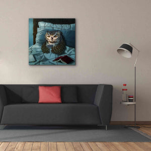 'Night Owl' by Lucia Heffernan, Canvas Wall Art,37x37
