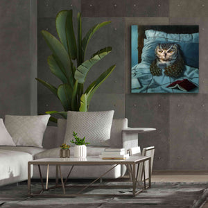 'Night Owl' by Lucia Heffernan, Canvas Wall Art,37x37