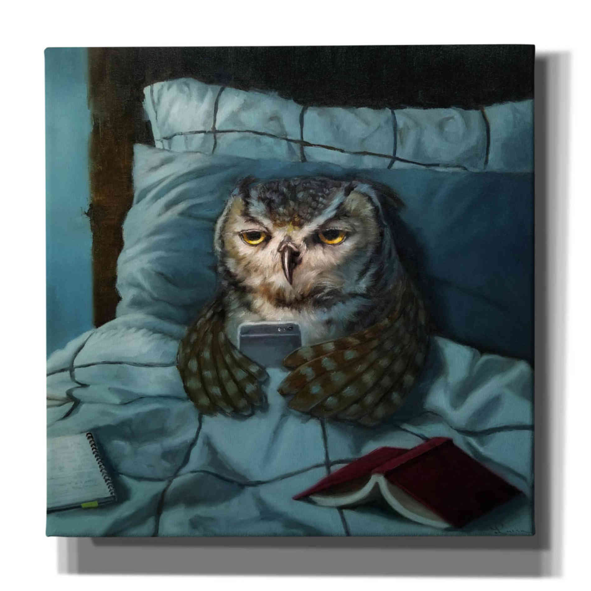 'Night Owl' by Lucia Heffernan, Canvas Wall Art