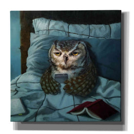 'Night Owl' by Lucia Heffernan, Canvas Wall Art