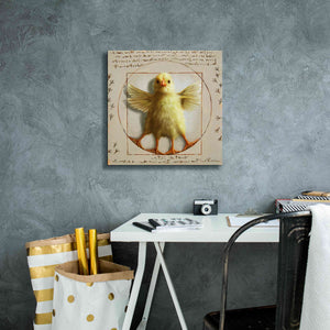 'Vitruvian Chick' by Lucia Heffernan, Canvas Wall Art,18x18