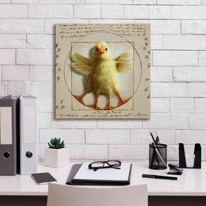 'Vitruvian Chick' by Lucia Heffernan, Canvas Wall Art,18x18