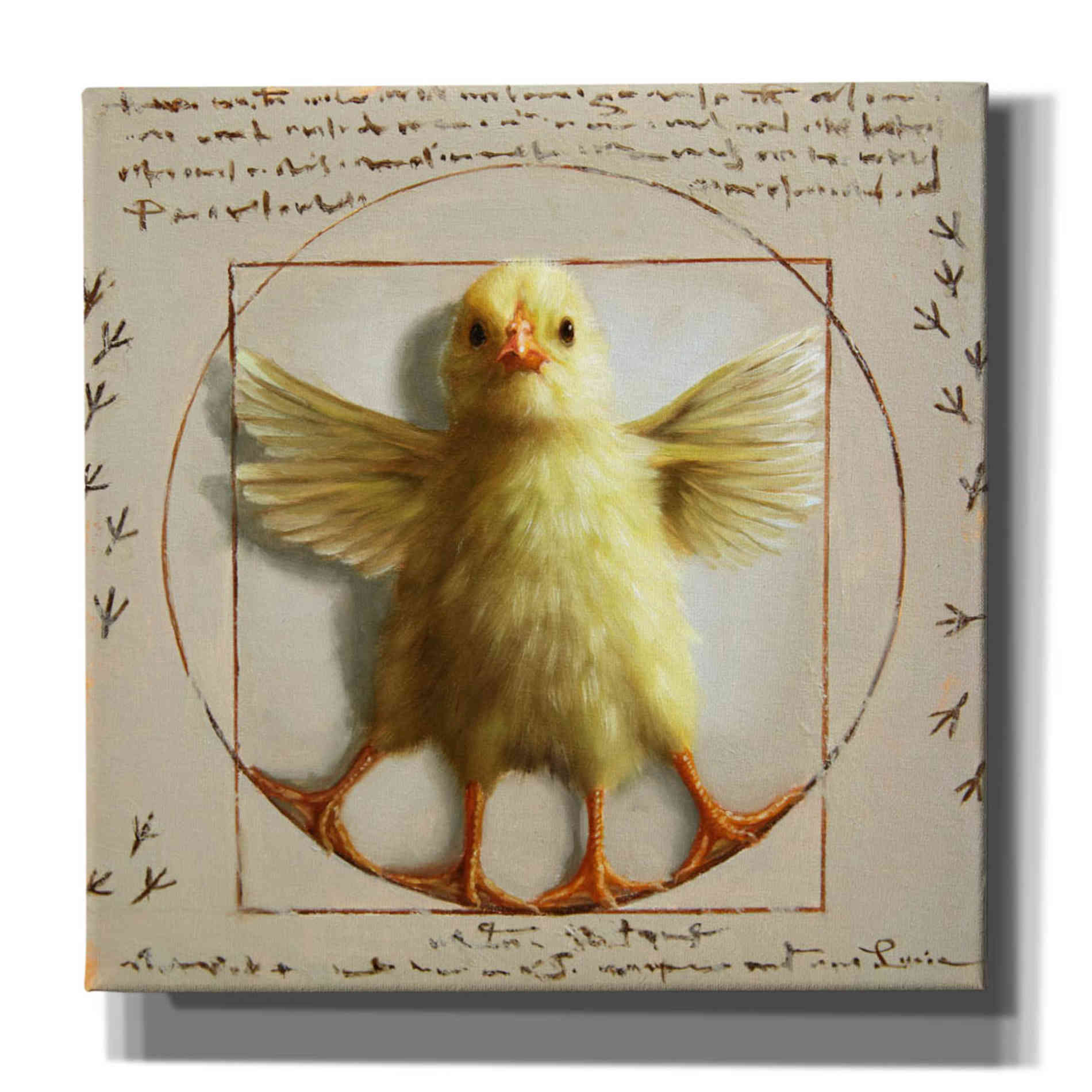 'Vitruvian Chick' by Lucia Heffernan, Canvas Wall Art
