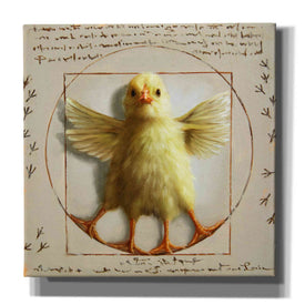 'Vitruvian Chick' by Lucia Heffernan, Canvas Wall Art
