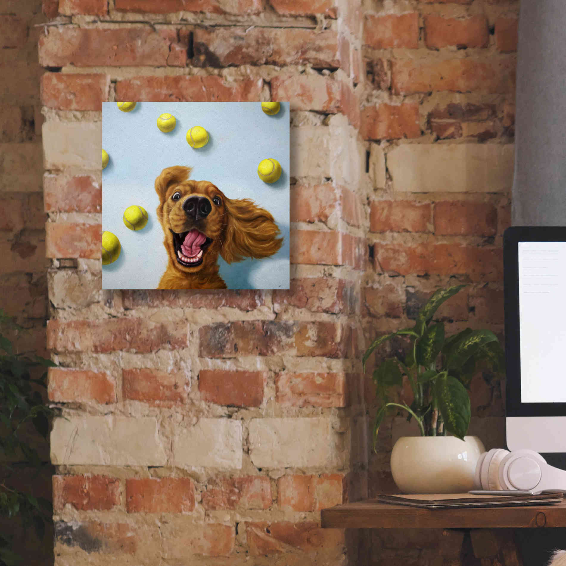 'Ball Boy' by Lucia Heffernan, Canvas Wall Art,12x12