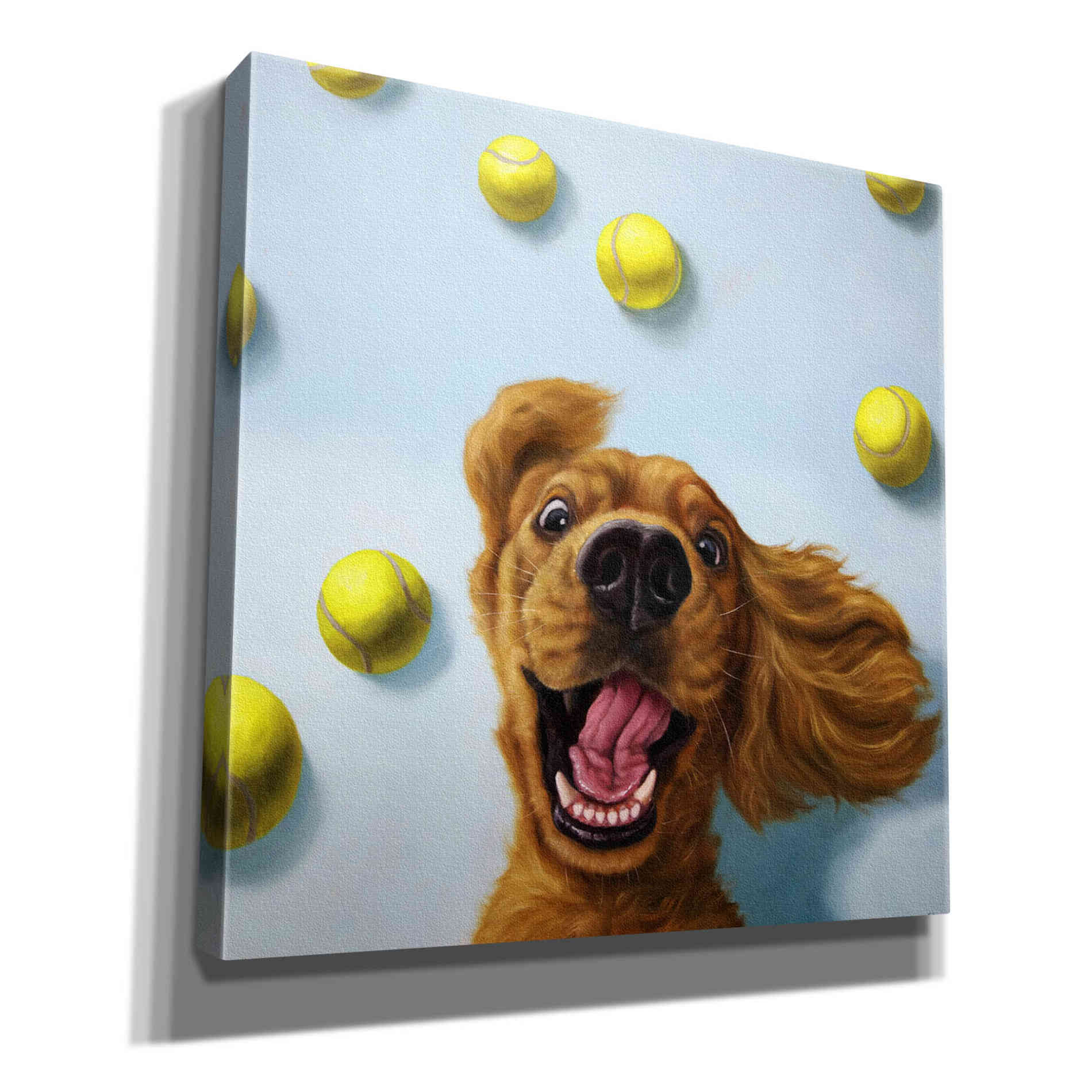 'Ball Boy' by Lucia Heffernan, Canvas Wall Art