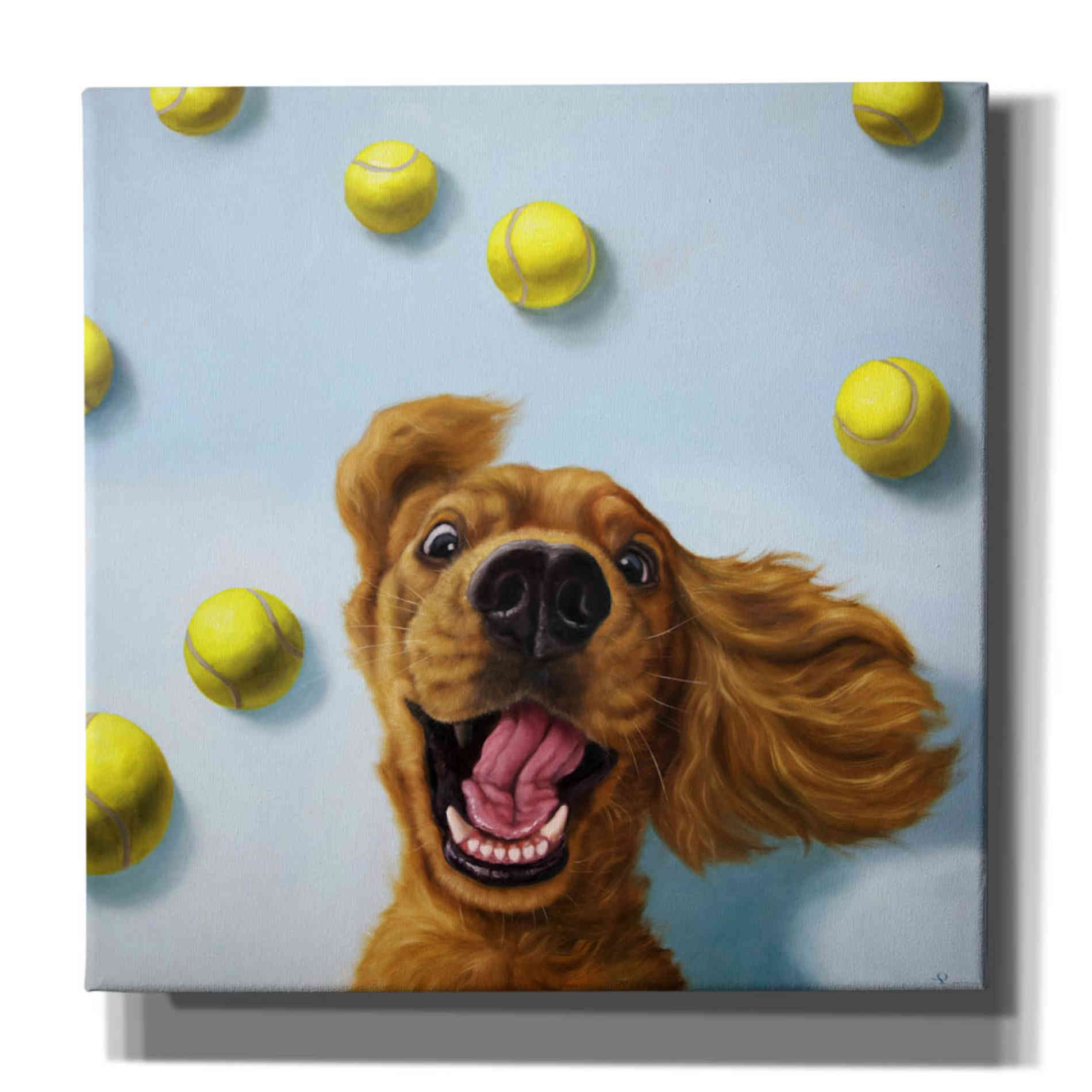 'Ball Boy' by Lucia Heffernan, Canvas Wall Art