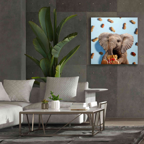 Image of 'Feeling Nutty' by Lucia Heffernan, Canvas Wall Art,37x37