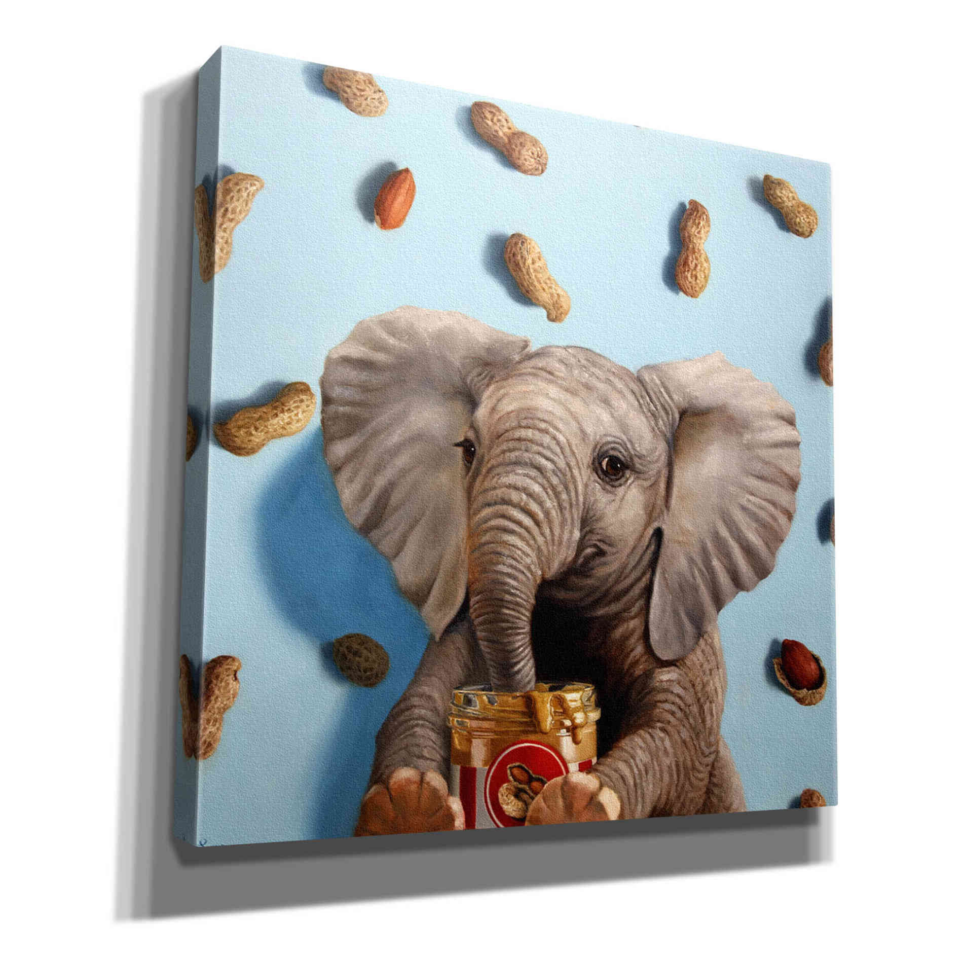 'Feeling Nutty' by Lucia Heffernan, Canvas Wall Art