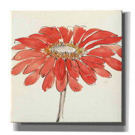 'Tangerine and Grey I' by Chris Paschke, Canvas Wall Art