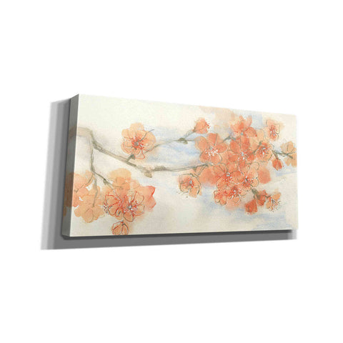 Image of 'Peach Blossom I' by Chris Paschke, Canvas Wall Art