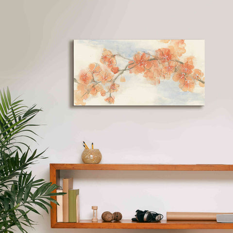 Image of 'Peach Blossom II' by Chris Paschke, Canvas Wall Art,24 x 12