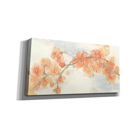 Image of 'Peach Blossom II' by Chris Paschke, Canvas Wall Art