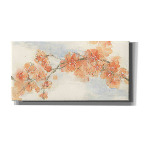 Image of 'Peach Blossom II' by Chris Paschke, Canvas Wall Art