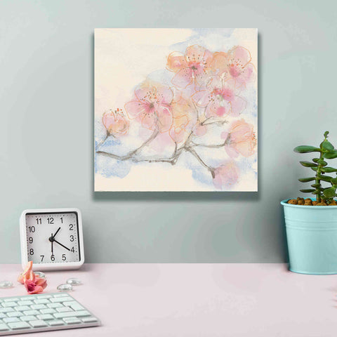 Image of 'Pink Blossoms III' by Chris Paschke, Canvas Wall Art,12 x 12