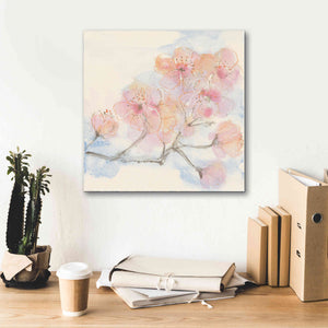 'Pink Blossoms III' by Chris Paschke, Canvas Wall Art,18 x 18