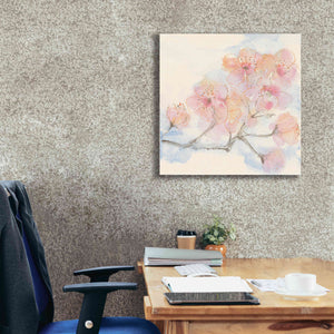'Pink Blossoms III' by Chris Paschke, Canvas Wall Art,26 x 26