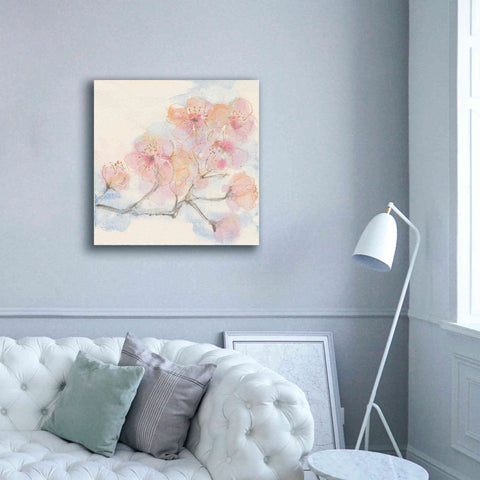 Image of 'Pink Blossoms III' by Chris Paschke, Canvas Wall Art,37 x 37