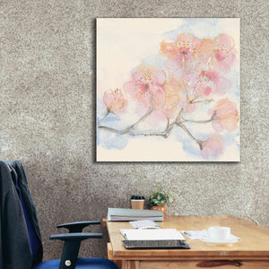 'Pink Blossoms III' by Chris Paschke, Canvas Wall Art,37 x 37