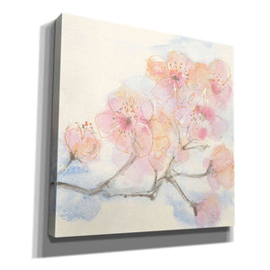 'Pink Blossoms III' by Chris Paschke, Canvas Wall Art