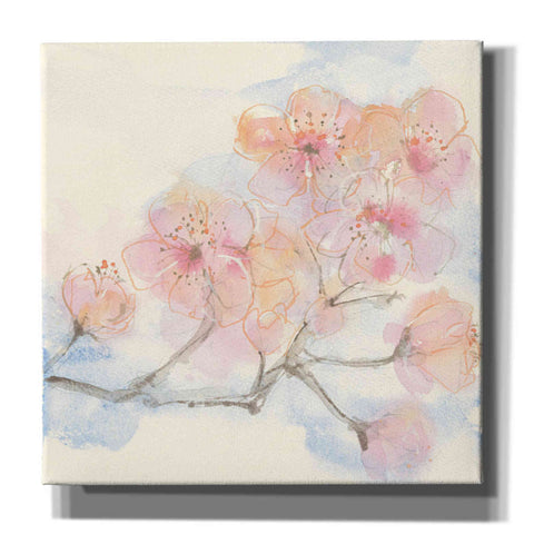 Image of 'Pink Blossoms III' by Chris Paschke, Canvas Wall Art