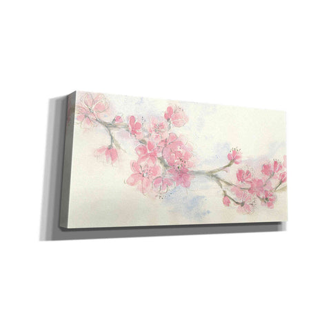 Image of 'Cherry Blossom II' by Chris Paschke, Canvas Wall Art