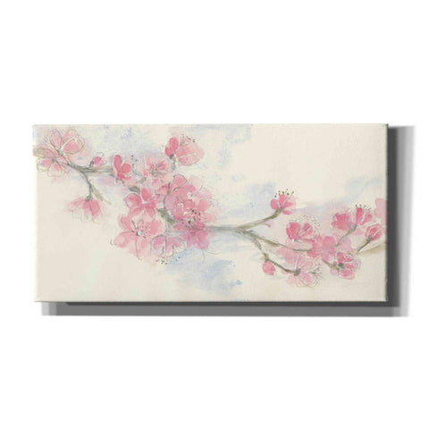 Image of 'Cherry Blossom II' by Chris Paschke, Canvas Wall Art
