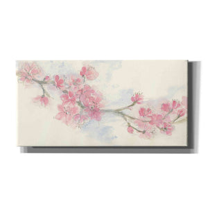 'Cherry Blossom II' by Chris Paschke, Canvas Wall Art