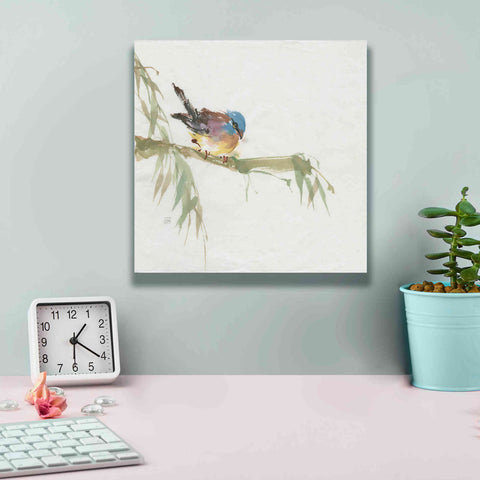 Image of 'Finch' by Chris Paschke, Canvas Wall Art,12 x 12