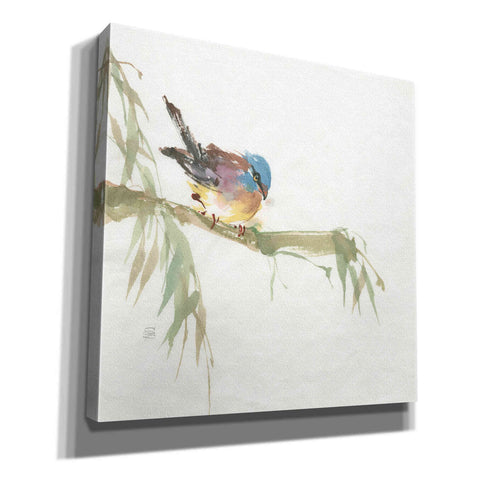 Image of 'Finch' by Chris Paschke, Canvas Wall Art