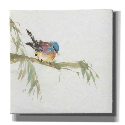 Image of 'Finch' by Chris Paschke, Canvas Wall Art