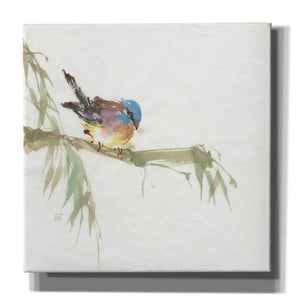 'Finch' by Chris Paschke, Canvas Wall Art