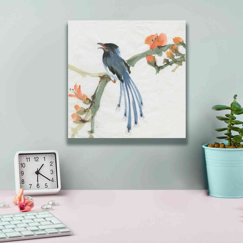 Image of 'Formosan Blue Magpie' by Chris Paschke, Canvas Wall Art,12 x 12