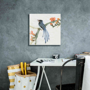 'Formosan Blue Magpie' by Chris Paschke, Canvas Wall Art,18 x 18
