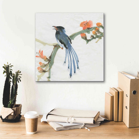 Image of 'Formosan Blue Magpie' by Chris Paschke, Canvas Wall Art,18 x 18