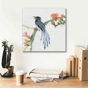 'Formosan Blue Magpie' by Chris Paschke, Canvas Wall Art,18 x 18