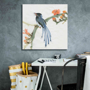 'Formosan Blue Magpie' by Chris Paschke, Canvas Wall Art,26 x 26