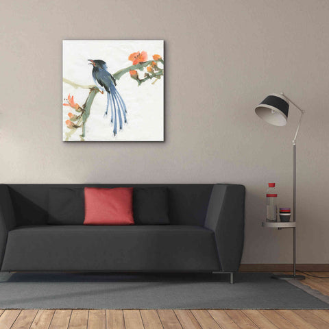Image of 'Formosan Blue Magpie' by Chris Paschke, Canvas Wall Art,37 x 37