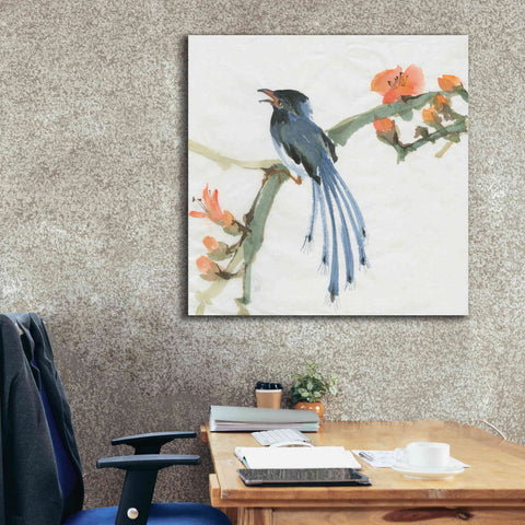 Image of 'Formosan Blue Magpie' by Chris Paschke, Canvas Wall Art,37 x 37