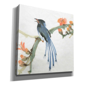 'Formosan Blue Magpie' by Chris Paschke, Canvas Wall Art