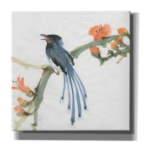 Image of 'Formosan Blue Magpie' by Chris Paschke, Canvas Wall Art