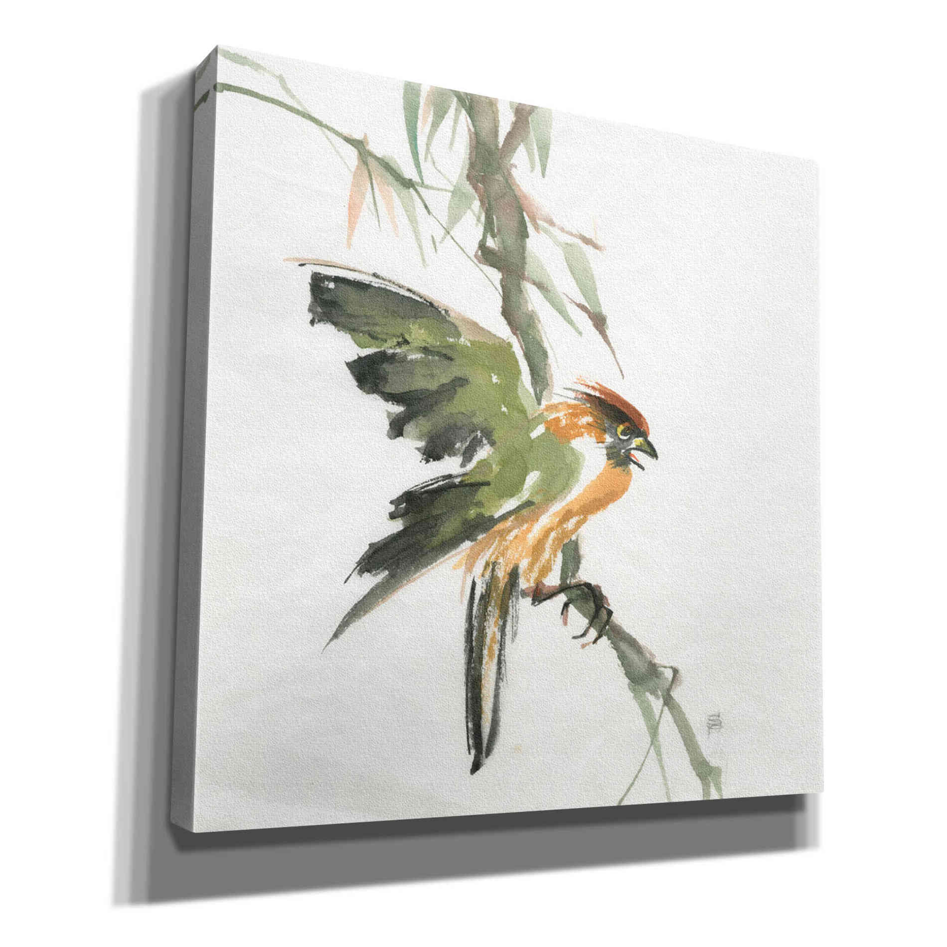 'Formosan Firecrest' by Chris Paschke, Canvas Wall Art