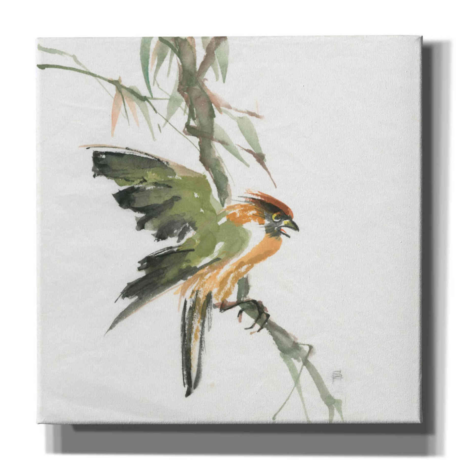 'Formosan Firecrest' by Chris Paschke, Canvas Wall Art