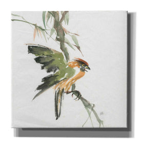 'Formosan Firecrest' by Chris Paschke, Canvas Wall Art