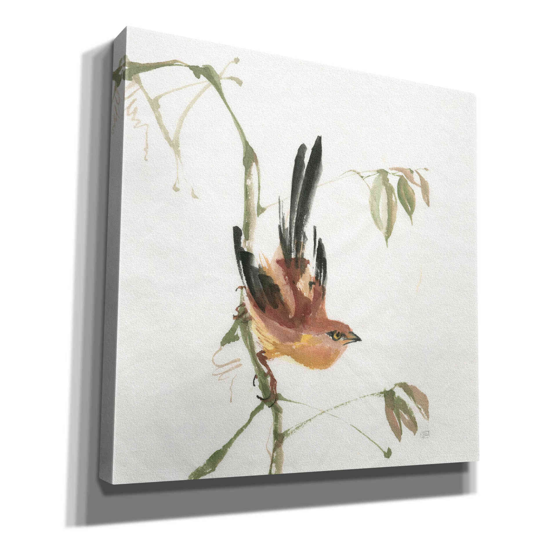 'Mountain Bush Warbler' by Chris Paschke, Canvas Wall Art