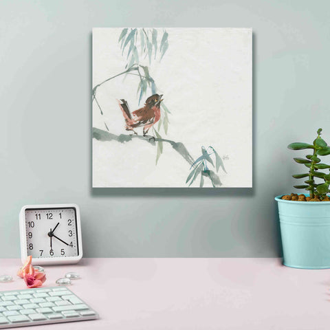 Image of 'Russet Sparrow' by Chris Paschke, Canvas Wall Art,12 x 12