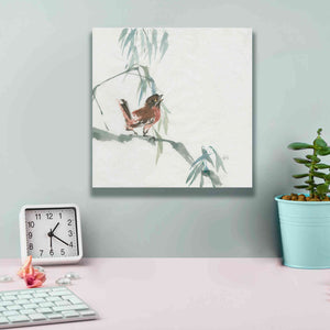 'Russet Sparrow' by Chris Paschke, Canvas Wall Art,12 x 12