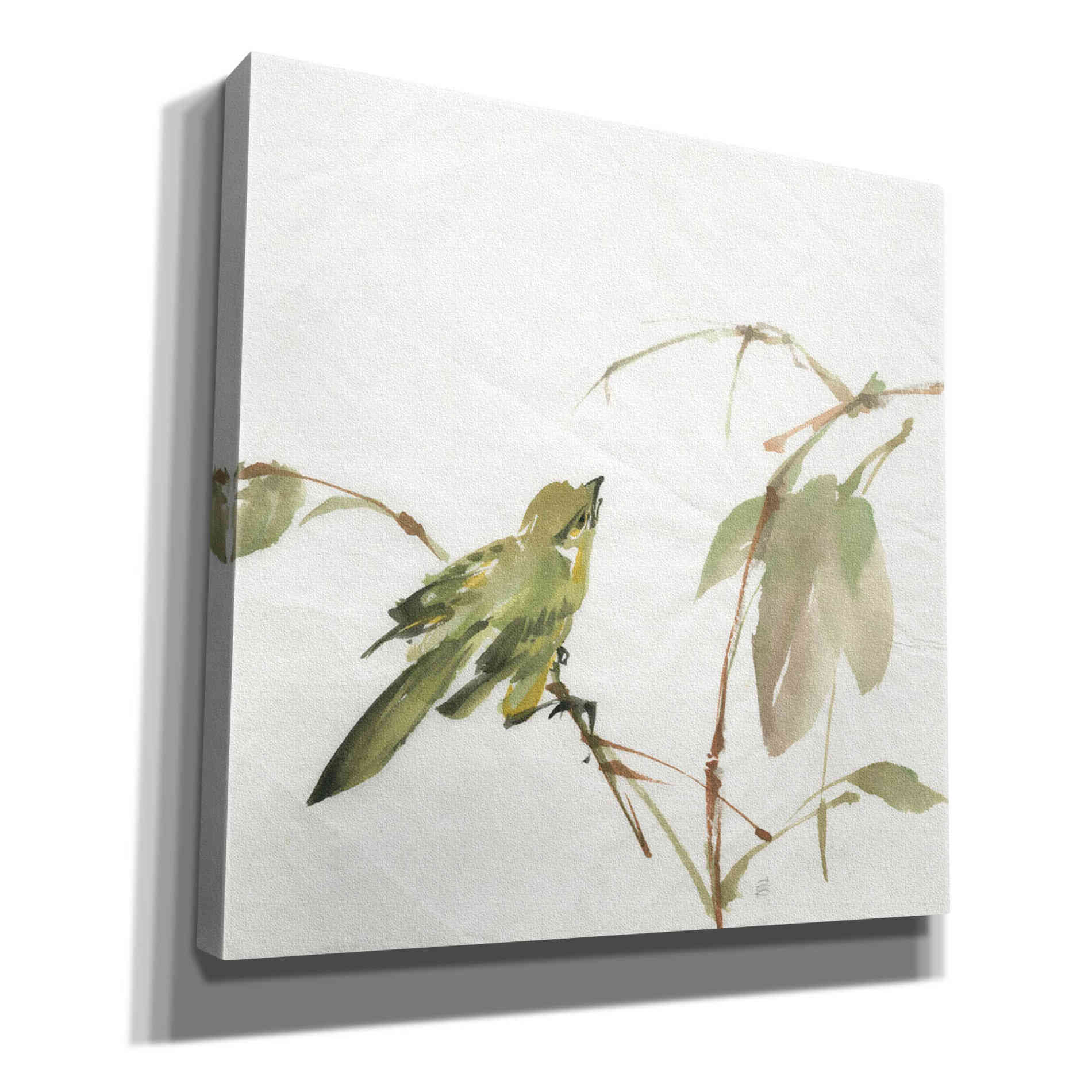 'Sisken' by Chris Paschke, Canvas Wall Art