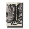'Sumi Waterfall View III' by Chris Paschke, Canvas Wall Art